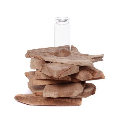 TREIBHOLZ REAGENZGLAS VASE ''TIANA'' | Blumenvase, Holz Tischvase, Deko Pflanzvase