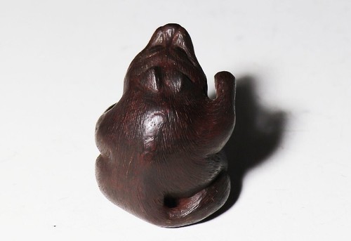 Netsuke Inro Sagemono Edo Ära japanisch antikes Holz geschnitzt Tanuki Waschbär-Hund - Bild 5 von 7