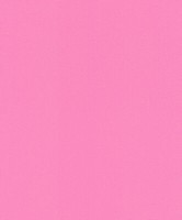 Rasch Tapete Selection 780048 Pink Uni Vliestapete Vlies