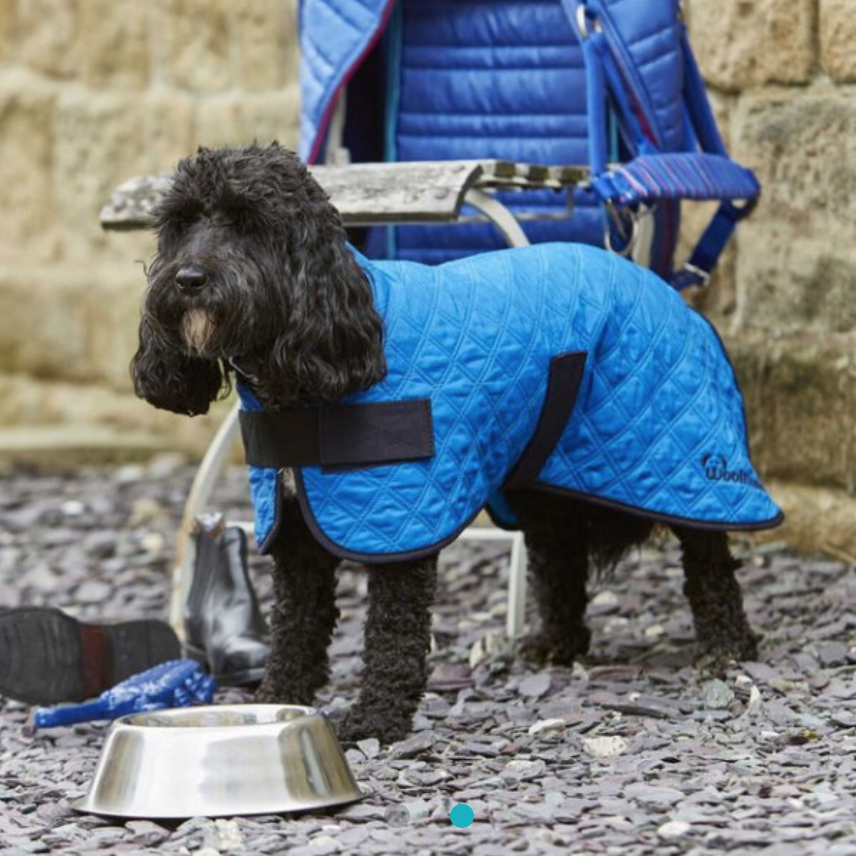 keep cool dog jackets