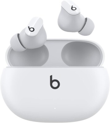 Original Beats Studio Buds, Ladecase und verschiedene Eartips 