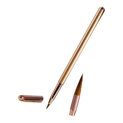 Metal Calligraphy Brush with Inks Converter 4 Inks Cartridges for Beginner Adult