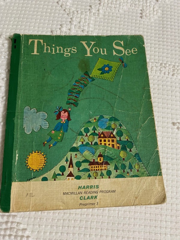 Things You See - Macmillan Reading Program