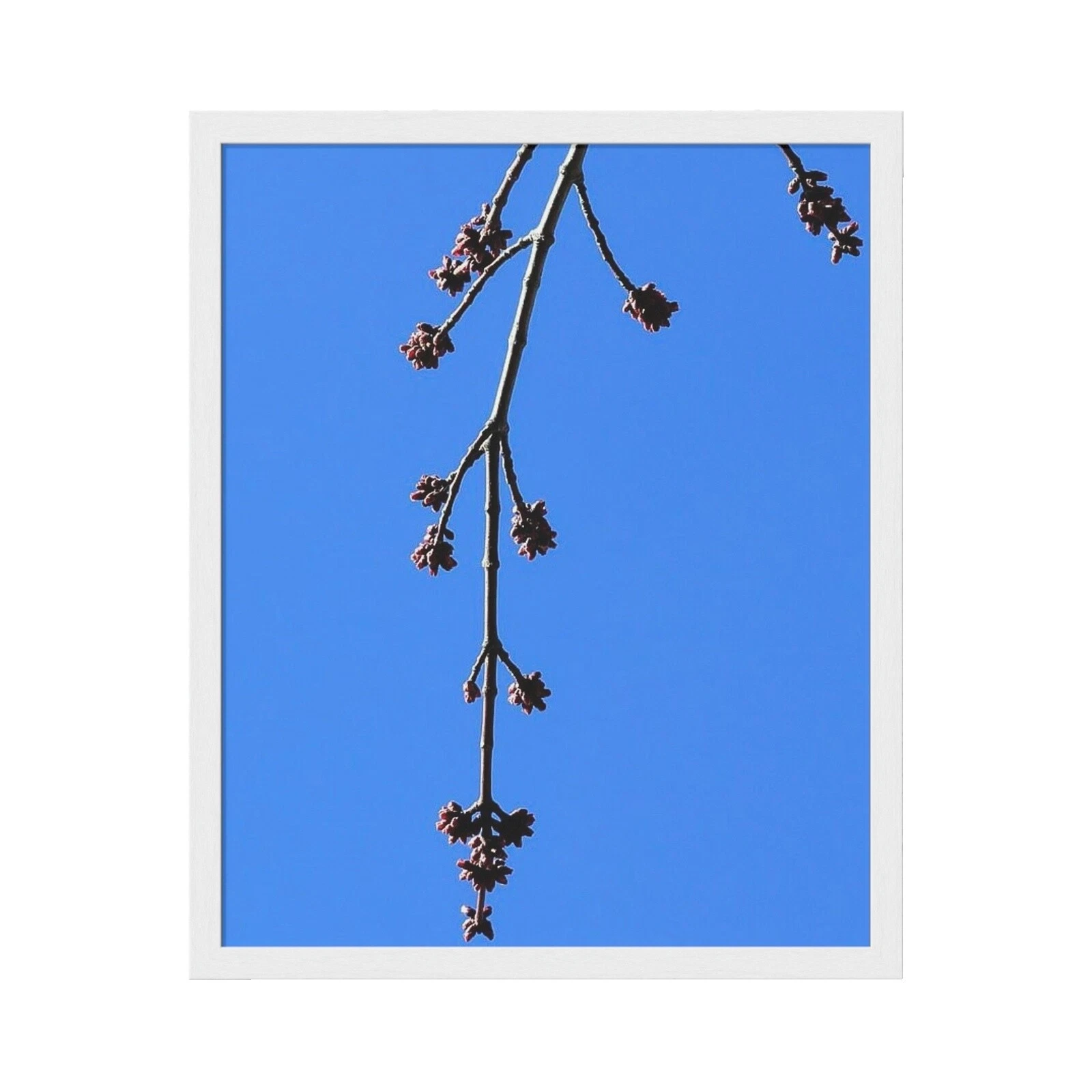 Landscape Framed Home Décor Posters & Prints