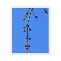 Nude Female Models for sale eBay