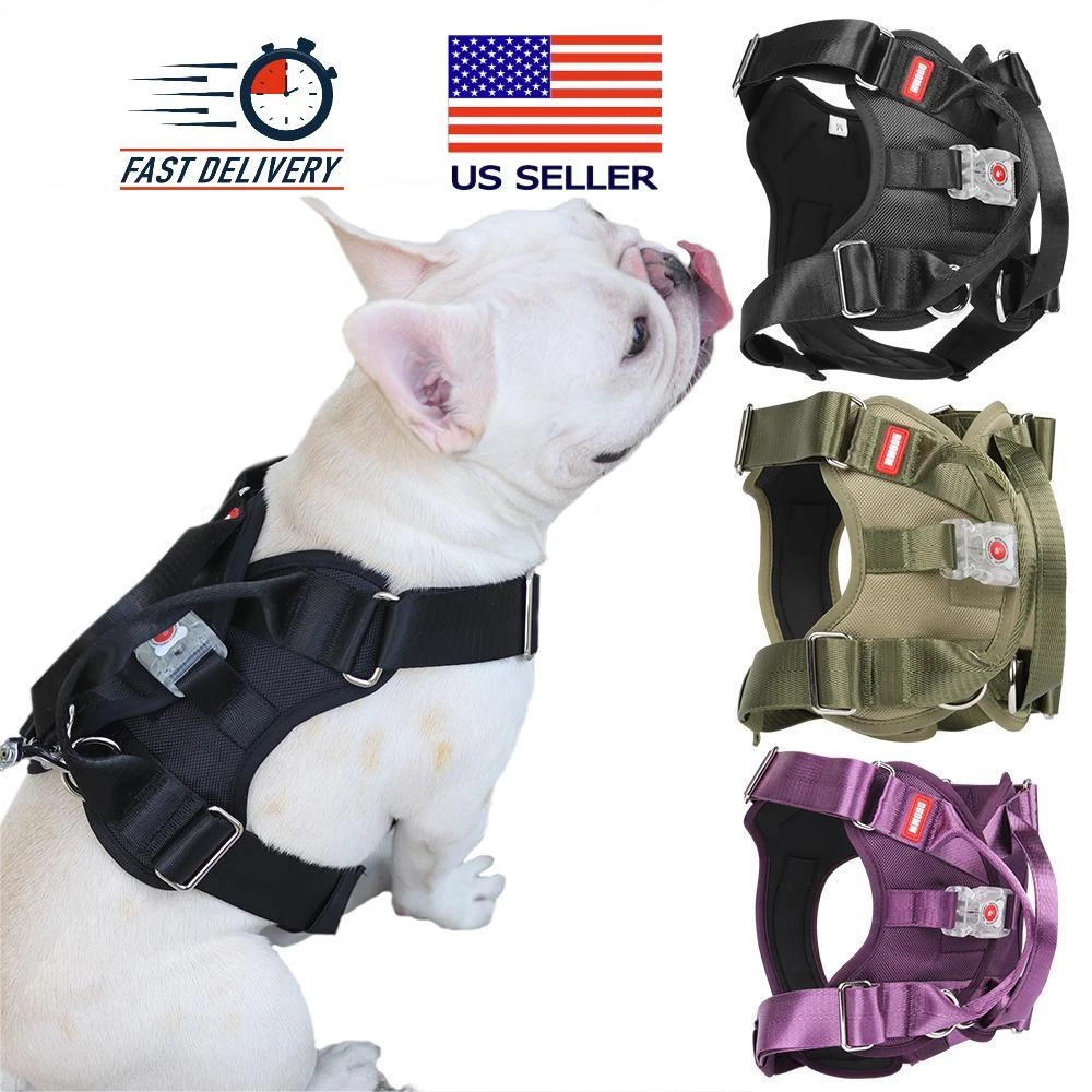 Dog Harness with No-Chock Control and Illuminated Safety Features S, M, L, XL
