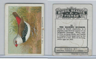 sparrow tobacco C1 Imperial Tobacco, Birds, Beasts, & Fishes, 1923, #12 Diamond Sparrow