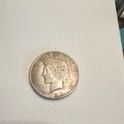 1928  Peace Dollar $1 Silver Coin Circulated Business Strike 0.9 Fineness