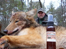 Coyote Urine For Hunting and Trapping Lure
