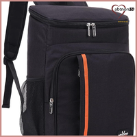 KüHlrucksack 22L Isoliert Picknicktasche Schwarz FüR Picknick Wandern Grillen