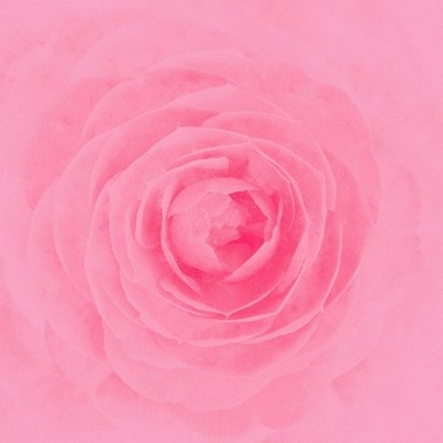 RAY Camellia 2023 3rd Album CD New JPN-Girls Idol Group Shoegaze Alternative EMO