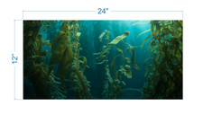Aquarium Background Kelp Forest - vinyl graphic adhesive AQ0051