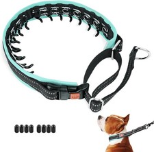 Mayerzon Martingale No Pull Dog Collar Medium Black Teal Trim