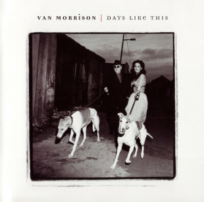 Van Morrison ‎– Days Like This (1995) Polydor vinyl NEW RARE LP | eBay