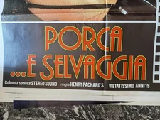 FUCK AND WILD MISS TOMATO - CINEMA POSTER 100 X 140