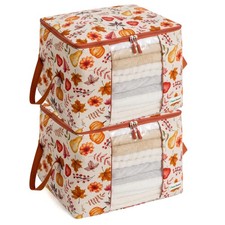 Canvas Storage Bags 2 Pack  Foldable Zip Window Moth-Proof Storage for Sweaters