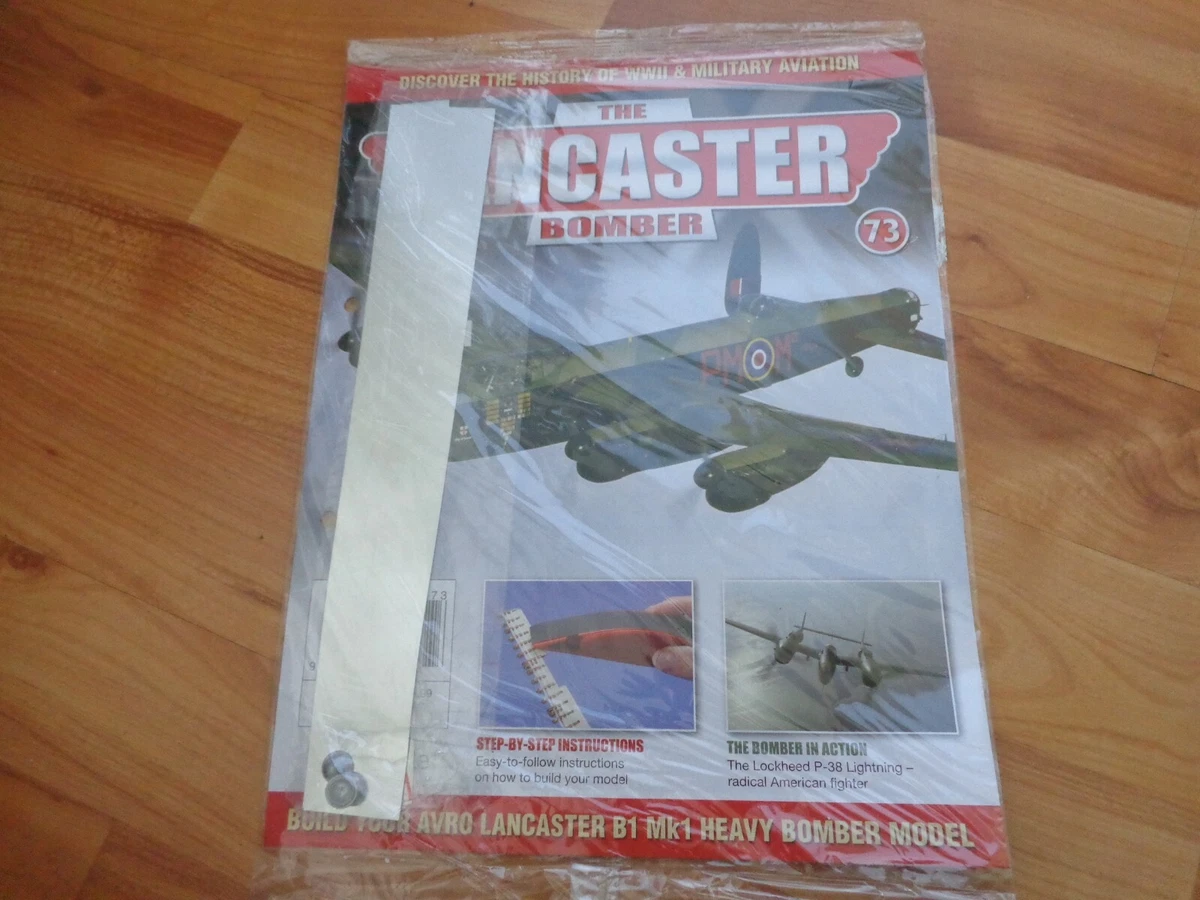 Build your own model plane 2025