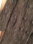 Bild 3 von 24