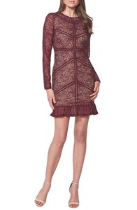 sasha lace cocktail dress
