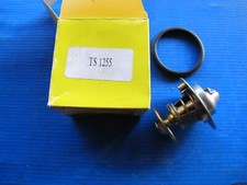 Thermostat Ford ESCORT