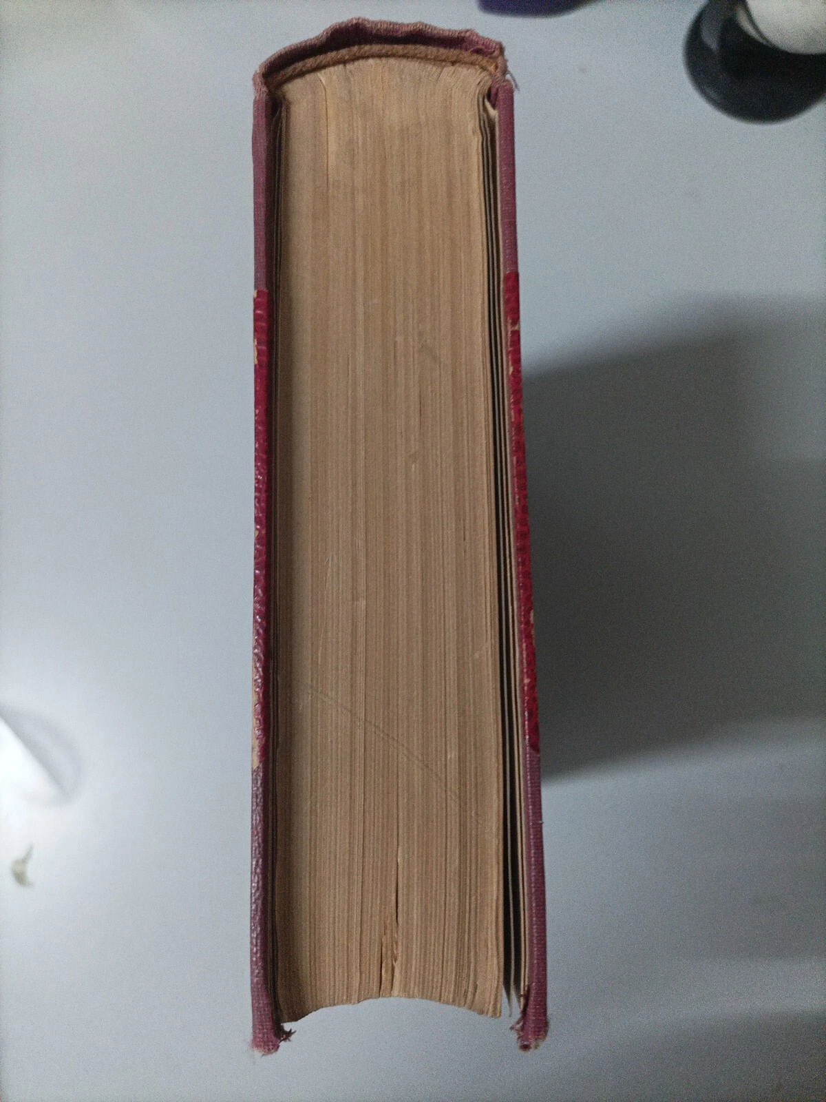 Foto 6 di 20