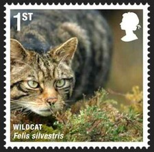 European wildcat Felis silvestris cat animal GB 2010 MNH mint stamp D167