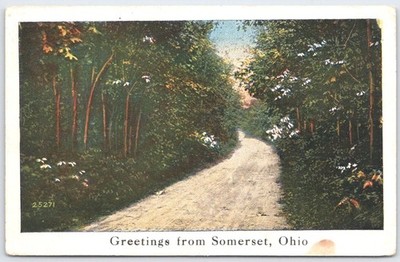 Vintage Greetings from Somerset Ohio Scenic Tree-Lined Road Postcard 1921