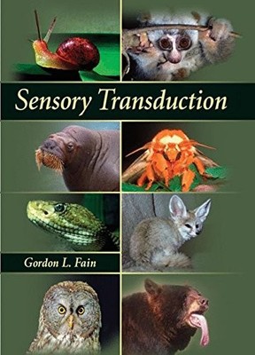 Sensory Transduction,Gordon L. Fain