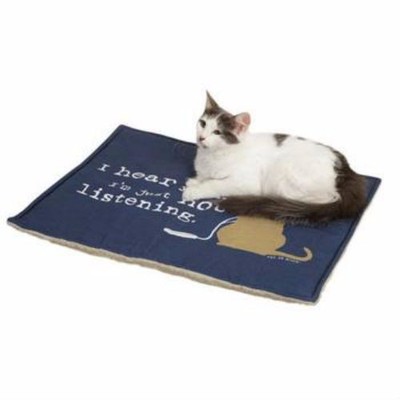 thermal cat mat