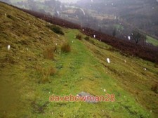 FOTO HAGEL CAESAR ODER ENTSPRECHENDE WORTE. MIT DEM WETTER WIRD JETZT HAI