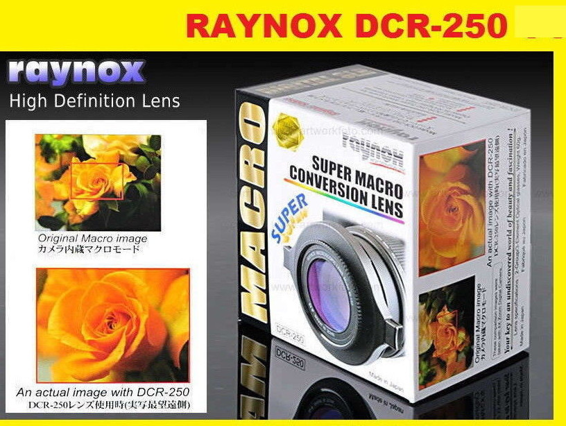 中古】レイノックス スーパーマクロレンズ DCR-250 タイプ:クローズ
