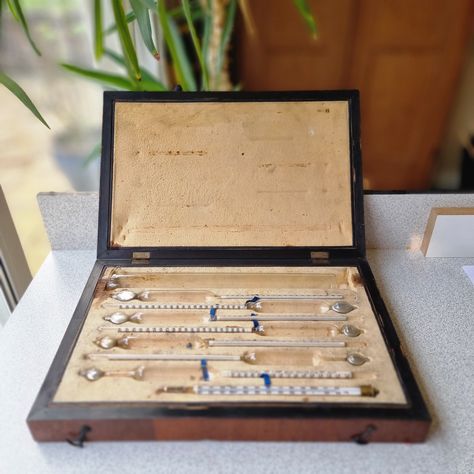 Vintage Hydrometer Alcohol Meter Tester Set Possibly Edwardian
