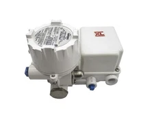 FLOWSERVE NT3002102SN1W00 30-150PSI NSNP