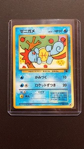 25+ Squirtle 007 for sale | Updated Oct 2026