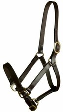 Gatsby Leather Adjustable Turnout Halter Without Snap Size: Horse