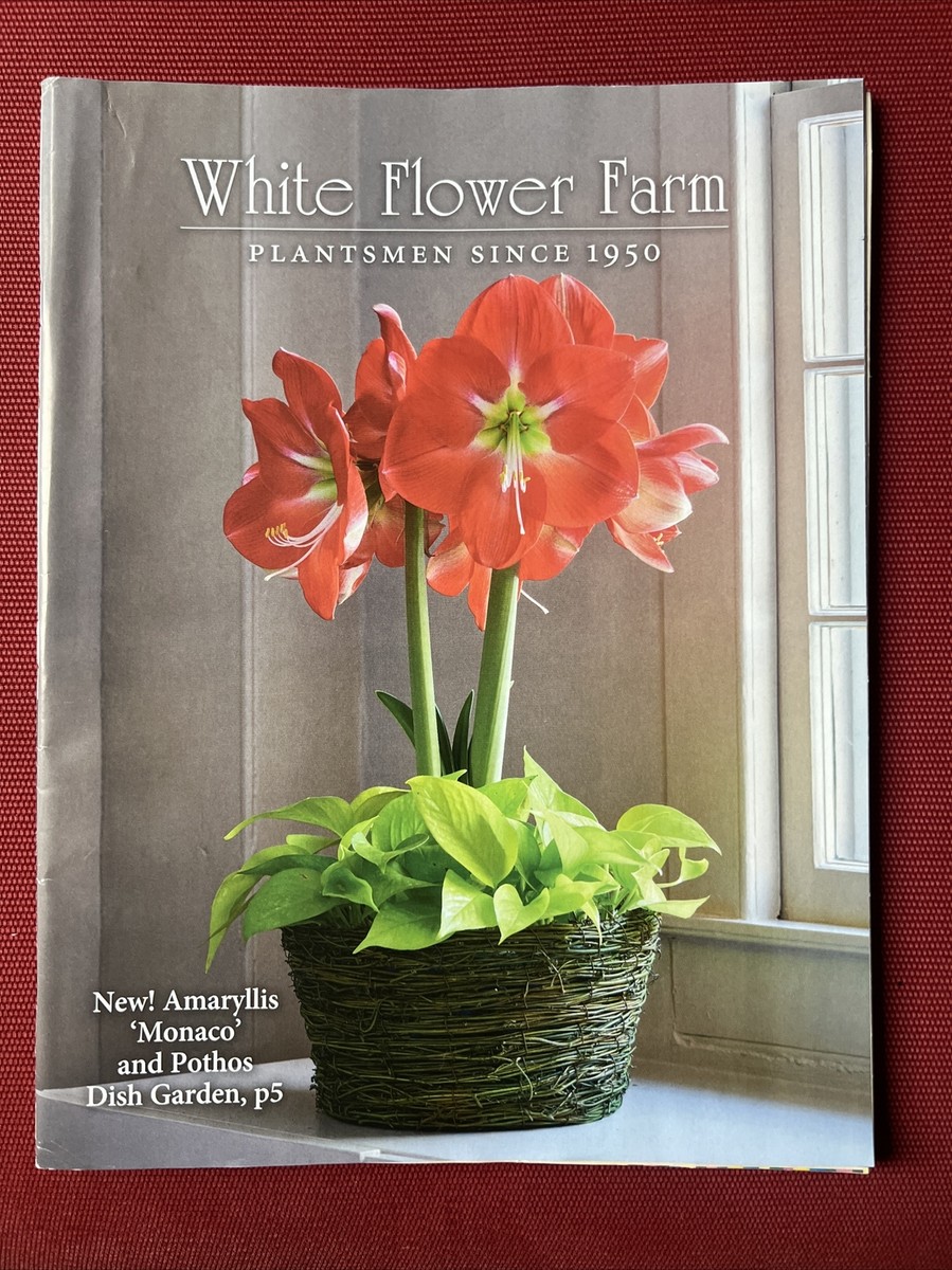 White Flower Farm winter Catalog 2023 | eBay