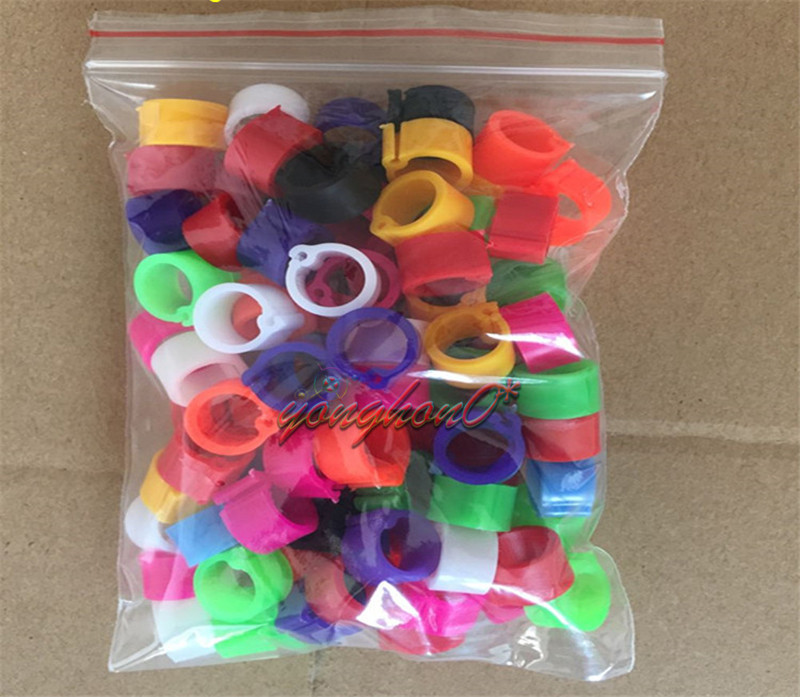 100 Bird Leg Bands 8mm Pigeon Chicken Parrot Bantam Poultry Rings 10 Colors eBay