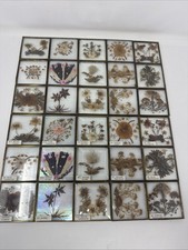 2x Vintage Stained Glass Window Panel Pressed Flowers Leaded Display Rectangle