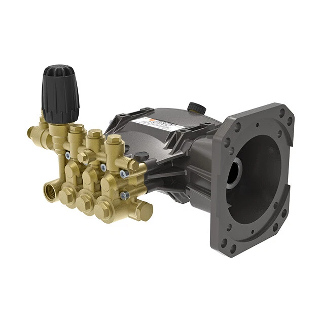 Dewalt 4000 psi sale pressure washer pump