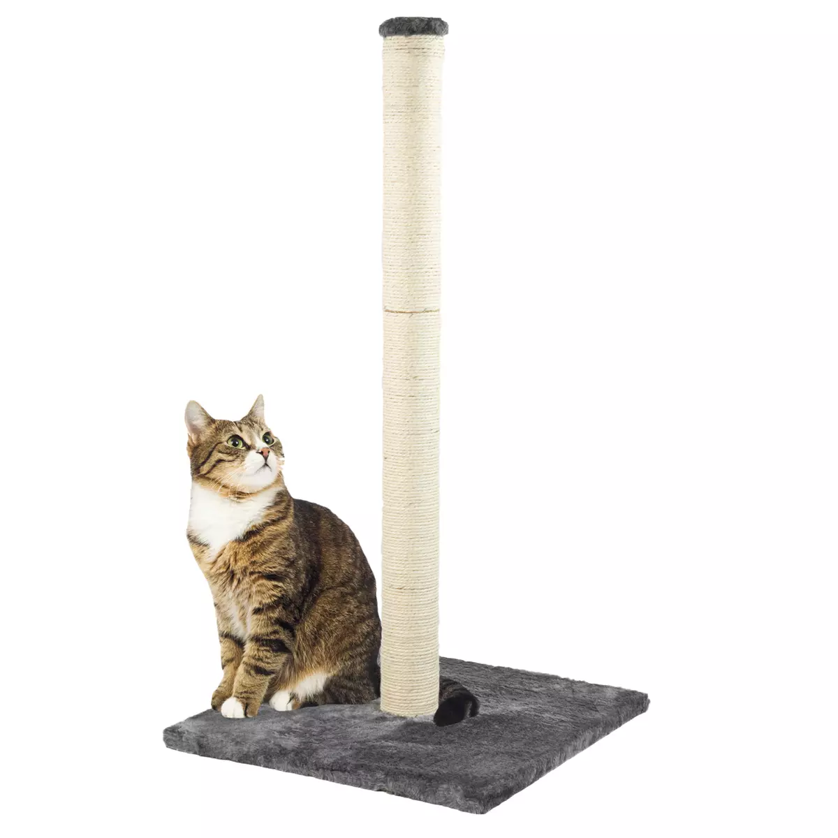 Ebay top scratching post