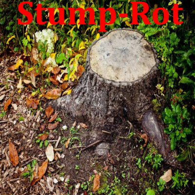 Tree Stump Remover Granules (Professional Grade) 