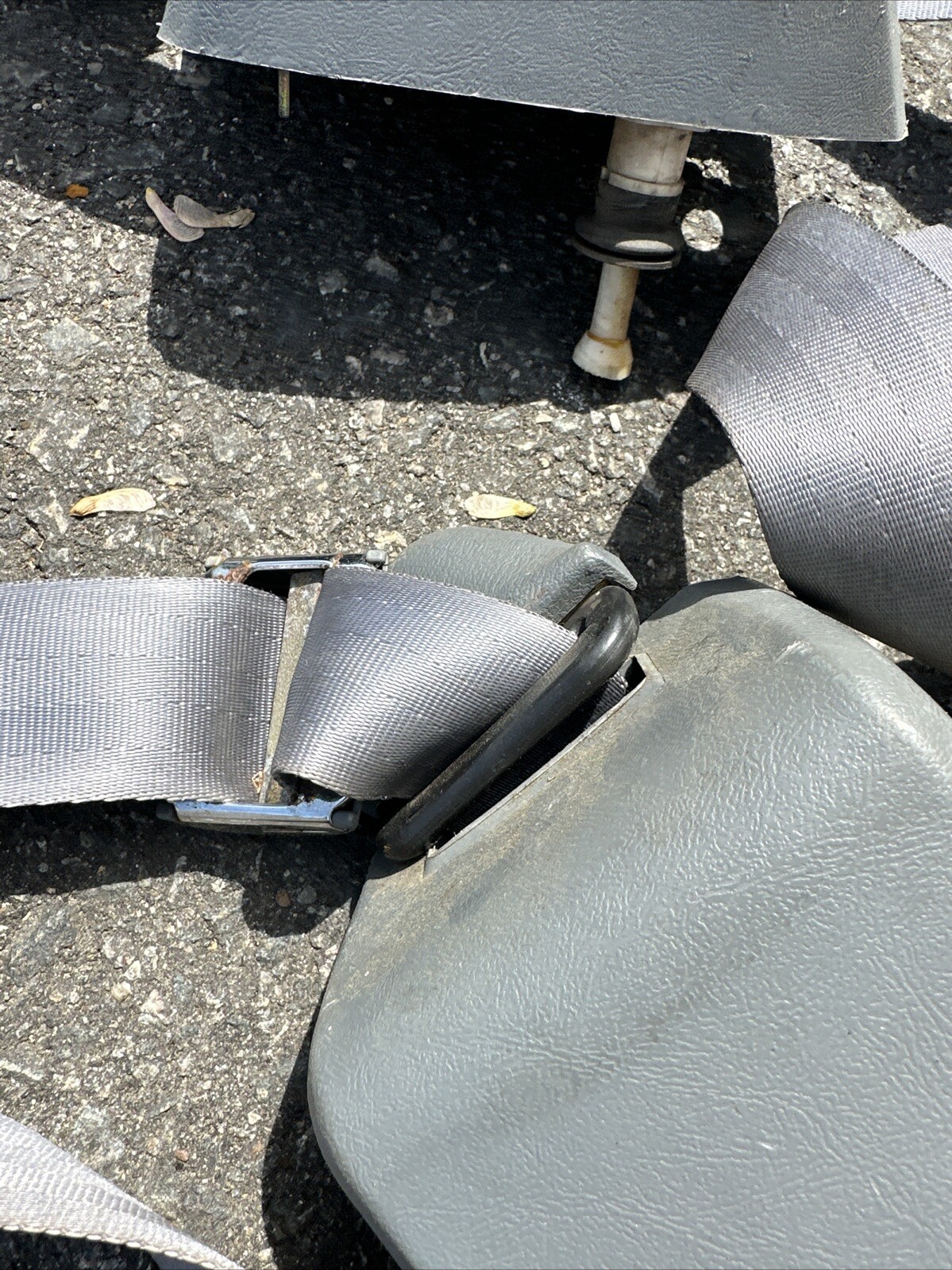 Picture 6 of 18