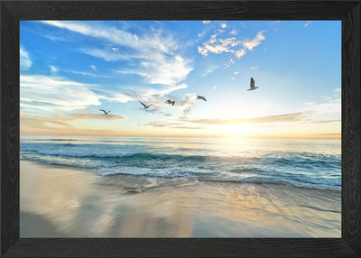 Vögel Strand und Meer Gerahmtes Wandbild Poster Leinwanddruck Bild