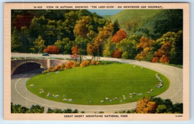 Loop Over Newfound Gap Highway - Autumn USA Linen Postcard