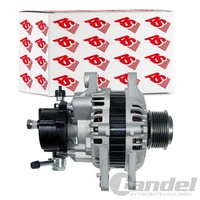 As-Pl Generator Lichtmaschine 110A Passend FüR Hyundai H-1 Porter KIA Sorento |