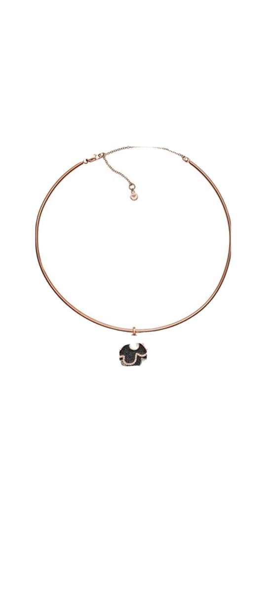 Emporio Armani Necklace (NWT) EGS2733221