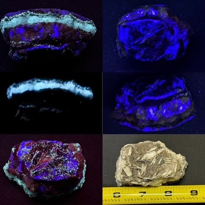 A++ PHOSPHORESCENT :HULL MINE ,CASTLE DOME,AZ :A+FLUORESCENT FLUORITE/WILLEMITE