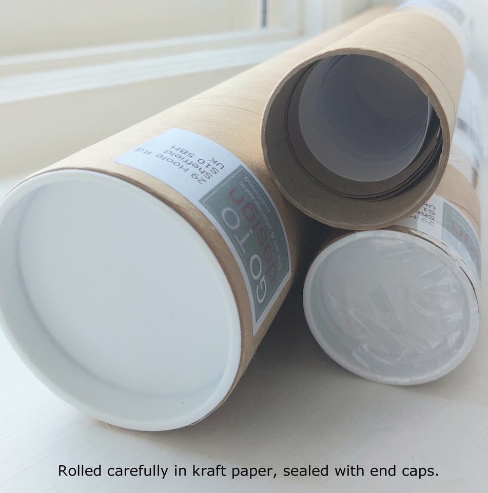 Art print Dicksee La Belle Dame Sans Merci knight art print gallery