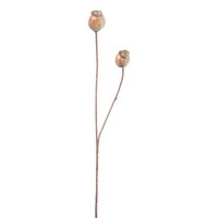 Artplants Kunst Zweig Mohnkapseln Orionla, Hellbraun, 65Cm