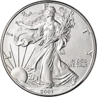 2001 Silver American Eagle Coin BU 1 oz $1 Dollar Uncirculated Littleton package